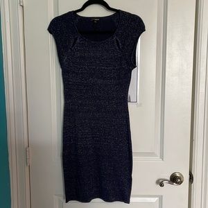 Express Women’s Dress